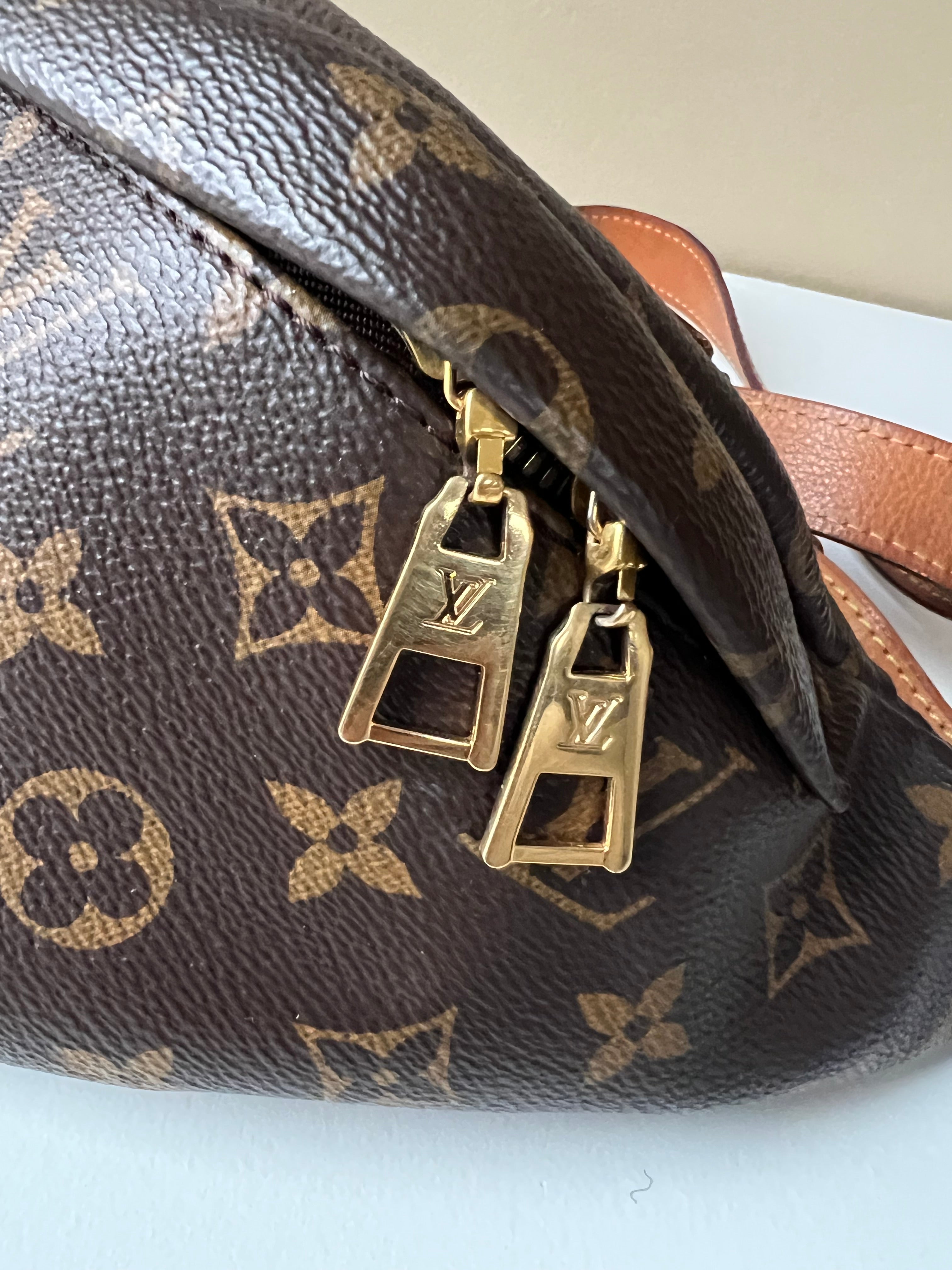 Louis Vuitton Bumbag