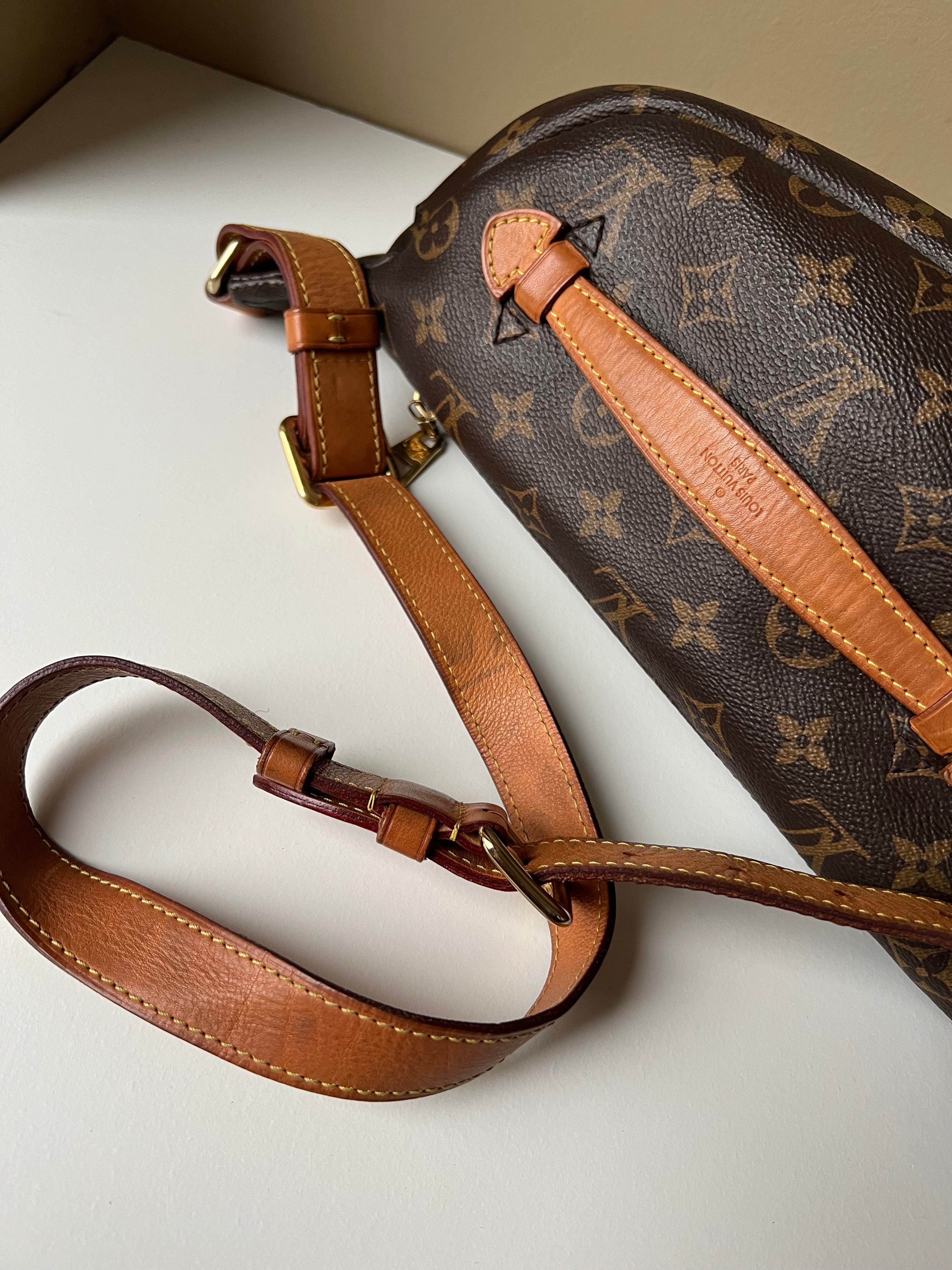 Louis Vuitton Bumbag